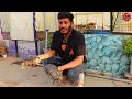 Bringing All My Turtles in one Video | There are 40 Turtles in my home| मेरे पास 40 कछुए हैं