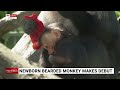 Newborn bearded monkey makes public debut