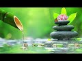 Relaxing Sleep Music + Insomnia: Bamboo, Stress Relief, Deep Sleep, Relax & Therapy Music 🌿 #5