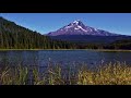 Mountain Lake Ambience | Relaxing Nature Sounds: Birds Singing and Lapping Water with Soothing Wind