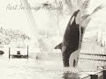 Anguish of the Fallen Orcas (Kohana)