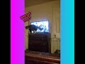 Amber looking for butterflies🦋 that disappeared on Tv! Cat watches TV!📺