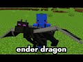 The MOST HILARIOUS Fake Minecraft Speedruns