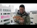 Dogs' president visiting Poong's family who live with cats [Not a Lonely Trainer EP.3]