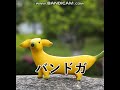 BANDGA the banana dog