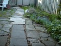 Puppy Exploring Outside for the first time