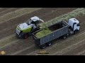 Langsam aber wir kämpfen uns durch! CLAAS Technik am Limit BIO ROGGEN Mähen & Häckseln GPS Ernte