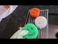 30+ *VIRAL* SCRUB DADDY SECRETS! 😱  Miracle Cleaning Hacks for Your Entire Home (Shark Tank Genius)