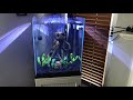 Aquariums - Petsmart 125 Gallon Tricks
