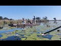 A boat trip in the Okavango delta