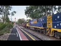 Movember, RUOK, IP, Ghan Locos And More! - Diverted Trains In The Hills - Pt #3