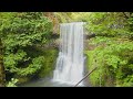 4K Scenic Nature Film - The Beauty of Forest Waterfalls in Silver Falls State Park, Oregon