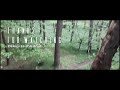 In the woods - Cinematic minifilm (4K)