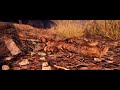 far cry primal