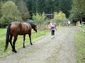 Horse farts and scares itself and child