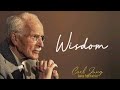 Carl Jung QUOTES on USING the BEHAVIOR of Others to Know Yourself Better