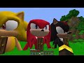 What INSIDE HOUSES SONIC! SUPER SONIC! SHADOW SONIC! KNUCKLES! AMY ROSE! TAILS! in Minecraft!