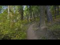Relaxing Beauty of Idaho Nature in 4K HDR - Sunny Day Forest Hike on Mineral Ridge Trail
