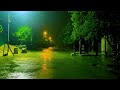 Rain Sounds | Relaxing Sounds for Insomnia Symptoms & Sleeping Disorders