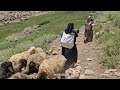 IRAN nomadic life | daily routine village life of Iran | Nomadic lifestyle of Iran