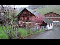 Magic of a rainy day in Switzerland 🇨🇭 Le Sépey - Cergnat