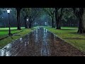 Night Rain Sound in The Park, Natural Ambience for Relaxation, Sleep and Study.