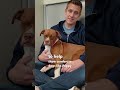 Watch dog go from terrified to lapdog in minutes 🥹