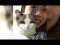 12 Minutes of Funny Cat Videos - EP 7