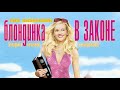 Чихуахуа. Особенности породы и интересные факты