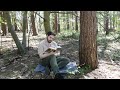 Read With Me in Sherwood Forest 🌲 Spring Ambience with Nature Sounds