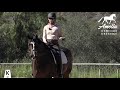 How to Warm up your Dressage Horse!