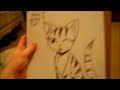 How 2 Draw a Tabby Cat