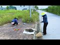 We Cleared The Overgrown Weeds On The Neighborhood Sidewalk On A Cool Day | Clear Up BN99