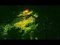 Heavy Rain Sounds for Sleeping or Relaxing⚡ Night Rain Ambience ⚡ Thunder Rain Sounds for Sleeping