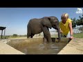 On the Road to Healing with Baby Elephant, Phabeni