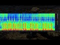 AudioMoth recordings from Lady Bay Reef (December 2022)