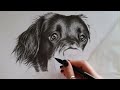 How to Draw Realistic Longer Fur in Graphite | Tips