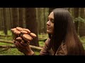 Solo trip with Canvas Hot tent in the mushroom woods | Wild camping, cooking, bushcraft skills, ASMR