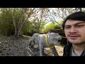 I Met A Traveling Elephant On The Road To Nong Khai, Thailand. Part 1 Of Many Nong Khai Adventures