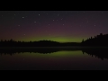 Watch Algonquin Park Come Alive at Night | Wild Canadian Year