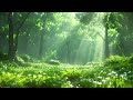 Stress Relief Music, Music for Sleeping, Meditation Song, Soft Music, Spring Ambience, Relaxing