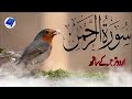 SURAH RAHMAN TARJUMA KE SATH QARI AL SHAIKH ABDUL BASIT ABDUL SAMAD Ep 010