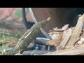 The Simplest WOOD CHIPPER You Can BUILD