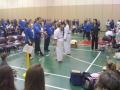 Karate competitions