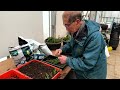 How to Make Cuttings from different varieties