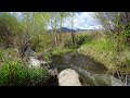8hr Calming Yellowstone Water Sounds -  Relaxing Nature Sounds - Spring Water Noise for Sleeping