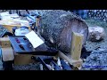 Splitting BIG rounds of Spruce | Wallenstein WXR 720L