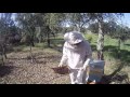 Bee-Keeping (Part 1)