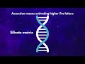 DNA activations & karmic release 🧬