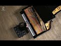 Elisey Misin / Grand Piano Competition 1st round